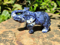 Polished Sodalite Elephant Carvings - sold per item - From Namibia