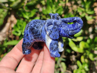 Polished Sodalite Elephant Carvings - sold per item - From Namibia