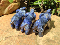 Polished Sodalite Elephant Carvings - sold per item - From Namibia