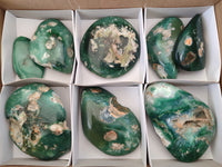 Polished Emerald Mtorolite Free Forms x 8 From Zimbabwe