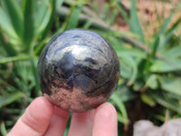 Polished Pharaoh Stone Spheres x 6 From Zimbabwe