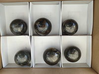 Polished Pharaoh Stone Spheres x 6 From Zimbabwe