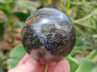 Polished Pharaoh Stone Spheres x 6 From Zimbabwe