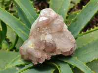 Natural Red Hematoid Quartz Clusters x 7 From Karoi, Zimbabwe