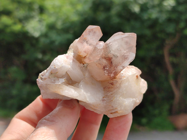 Natural Red Hematoid Quartz Clusters x 7 From Karoi, Zimbabwe