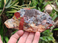 Natural Bloodstone Cobbed Specimens x 12 From Swaziland