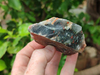 Natural Bloodstone Cobbed Specimens x 12 From Swaziland