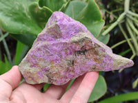 Natural Stichtite Specimens x 4 From Barberton, South Africa