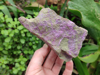 Natural Stichtite Specimens x 4 From Barberton, South Africa