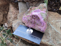 Natural Stichtite Specimens x 4 From Barberton, South Africa