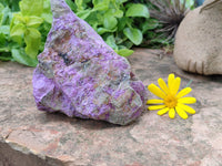 Natural Stichtite Specimens x 4 From Barberton, South Africa