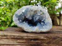 Natural Celestite Geode Specimen x 1 From Sakoany, Madagascar