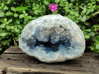 Natural Celestite Geode Specimen x 1 From Sakoany, Madagascar