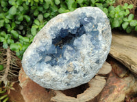 Natural Celestite Geode Specimen x 1 From Sakoany, Madagascar