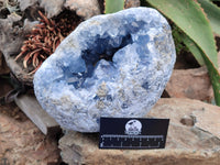 Natural Celestite Geode Specimen x 1 From Sakoany, Madagascar