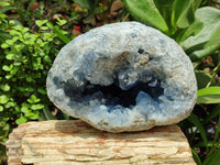 Natural Celestite Geode Specimen x 1 From Sakoany, Madagascar