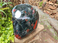 Polished Bloodstone Display Piece x 1 From Swaziland