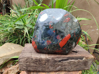 Polished Bloodstone Display Piece x 1 From Swaziland