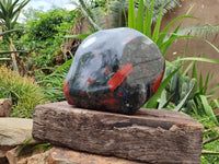 Polished Bloodstone Display Piece x 1 From Swaziland