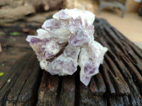 Natural Sugar Amethyst Quartz Clusters x 12 From Solwezi, Zambia