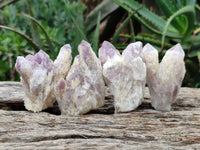 Natural Sugar Amethyst Quartz Clusters x 12 From Solwezi, Zambia