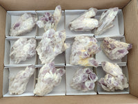 Natural Sugar Amethyst Quartz Clusters x 12 From Solwezi, Zambia