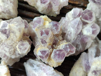 Natural Sugar Amethyst Quartz Clusters x 12 From Solwezi, Zambia