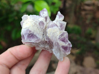 Natural Sugar Amethyst Quartz Clusters x 12 From Solwezi, Zambia