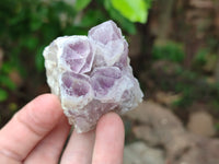 Natural Sugar Amethyst Quartz Clusters x 12 From Solwezi, Zambia