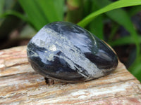 Polished Pharaoh Stone Palm Stones x 12 From Zimbabwe