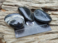 Polished Pharaoh Stone Palm Stones x 12 From Zimbabwe