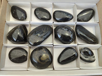 Polished Pharaoh Stone Palm Stones x 12 From Zimbabwe