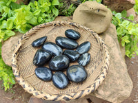 Polished Pharaoh Stone Palm Stones x 12 From Zimbabwe