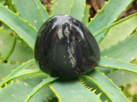 Polished Pharaoh Stone Palm Stones x 12 From Zimbabwe