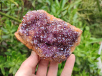 Natural Amethystos Amethyst Clusters x 5 From Kwaggafontein, South Africa