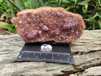 Natural Amethystos Amethyst Clusters x 5 From Kwaggafontein, South Africa