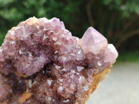 Natural Amethystos Amethyst Clusters x 5 From Kwaggafontein, South Africa