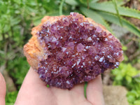 Natural Amethystos Amethyst Clusters x 5 From Kwaggafontein, South Africa