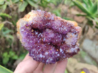 Natural Amethystos Amethyst Clusters x 5 From Kwaggafontein, South Africa