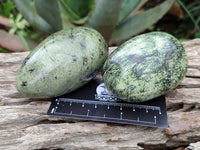 Polished Leopard Stone Palm Stones x 6 From Zimbabwe