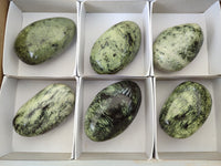 Polished Leopard Stone Palm Stones x 6 From Zimbabwe