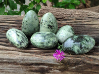 Polished Leopard Stone Palm Stones x 6 From Zimbabwe