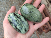 Polished Leopard Stone Palm Stones x 6 From Zimbabwe