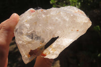 Natural Black Tourmaline With Quartz Specimens x 5 From Zimbabwe