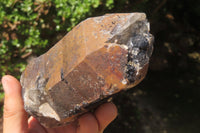 Natural Black Tourmaline With Quartz Specimens x 5 From Zimbabwe