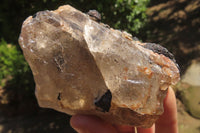 Natural Black Tourmaline With Quartz Specimens x 5 From Zimbabwe