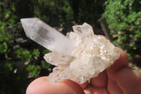 Natural Mixed Quartz Clusters x 35 From Madagascar