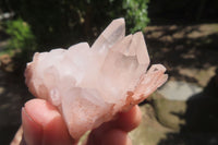 Natural Mixed Quartz Clusters x 35 From Madagascar