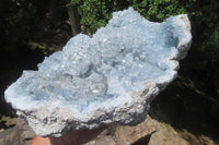 Natural Celestite Crystal Plate x 1 From Sakoany, Madagascar