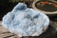 Natural Celestite Crystal Plate x 1 From Sakoany, Madagascar